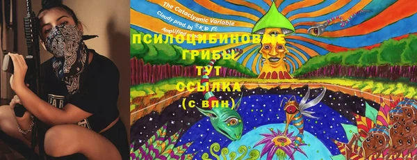 марки lsd Алексин